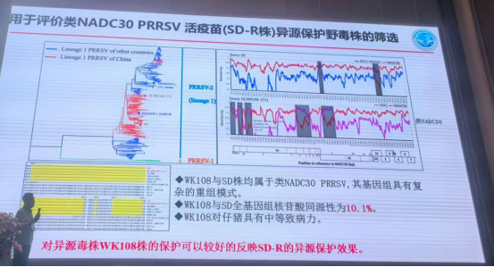 1767152121138562.png image.png