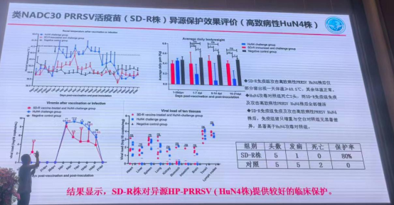 1767152174119051.png image.png