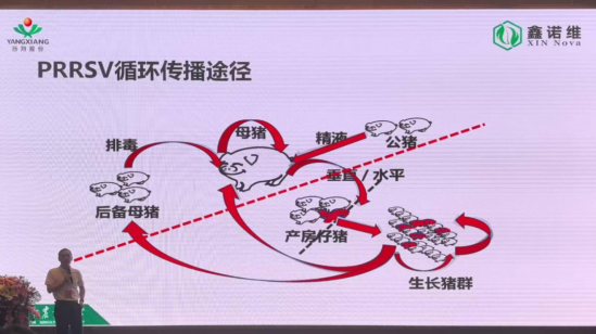 1767489208134087.png image.png