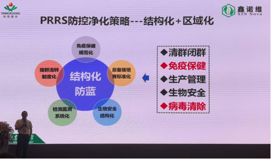 1767489226138132.png image.png